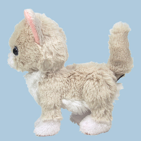 サンレモン　キトン ぬいぐるみ ラグドール  P-1352