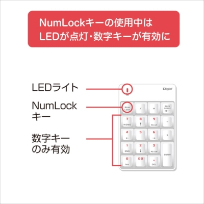 ナカバヤシ シンプルUSBテンキーボード/ホワイト TNK-SU232W (tm)