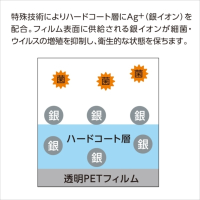 ナカバヤシ iPad10.2インチフィルムル学童用／抗菌抗ウイルス　TBF-IP20FLKAV-G　(tm)　 