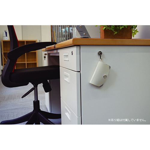 ナカバヤシ スライドフォルダーポイット カード6P ホワイト SFPO-C6W