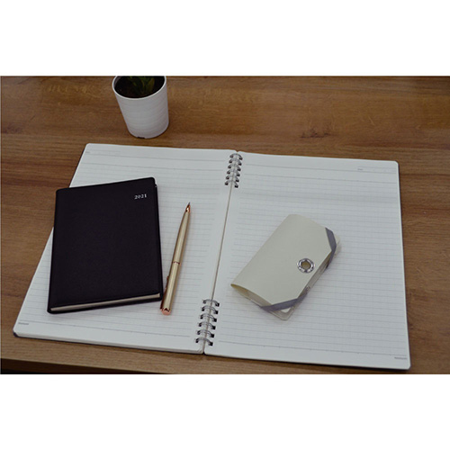 ナカバヤシ スライドフォルダーポイット カード6P ホワイト SFPO-C6W