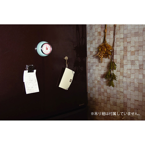 ナカバヤシ スライドフォルダーポイット カード6P ホワイト SFPO-C6W