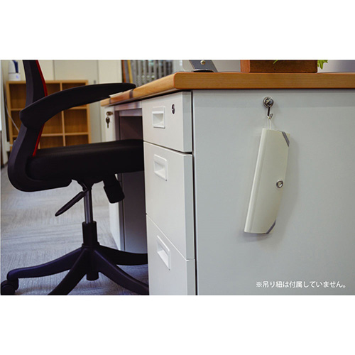 ナカバヤシ スライドフォルダーポイット カード12P ホワイト SFPO-C12W