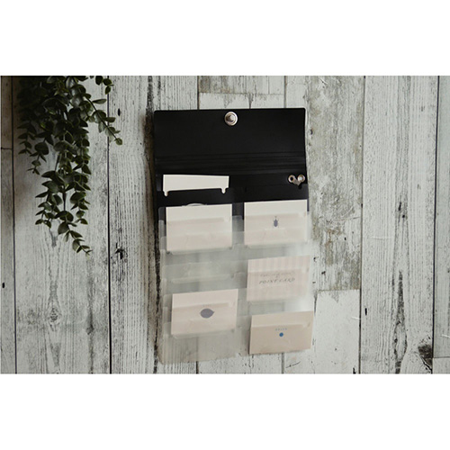 ナカバヤシ スライドフォルダーポイット カード12P ブラック SFPO-C12BK