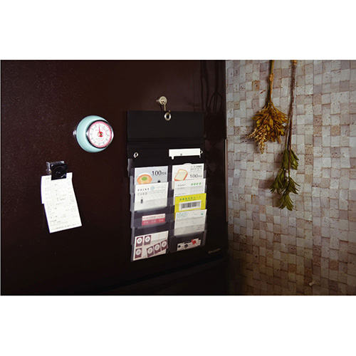 ナカバヤシ スライドフォルダーポイット カード12P ブラック SFPO-C12BK