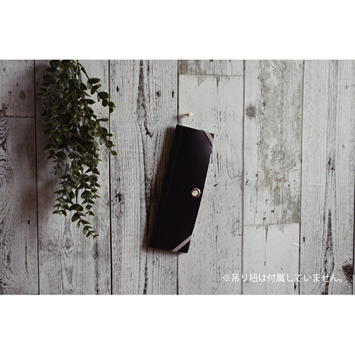 ナカバヤシ スライドフォルダーポイット カード12P ブラック SFPO-C12BK