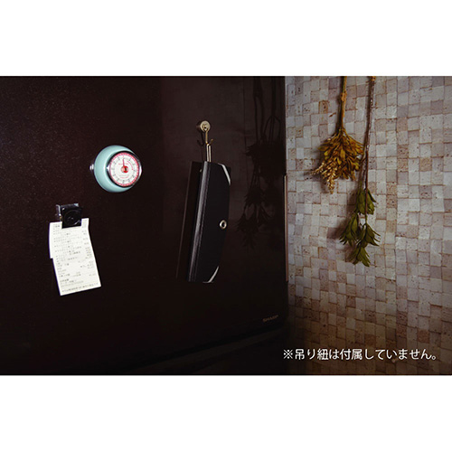 ナカバヤシ スライドフォルダーポイット カード12P ブラック SFPO-C12BK