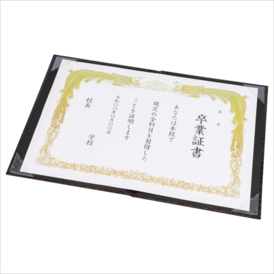 ナカバヤシ 証書ファイル Cタイプ A4 紙製クロス・クロコダイルツヤ ブラウン FSPT-A4C-BR