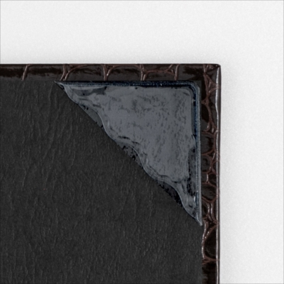 ナカバヤシ 証書ファイル Cタイプ A4 紙製クロス・クロコダイルツヤ ブラウン FSPT-A4C-BR