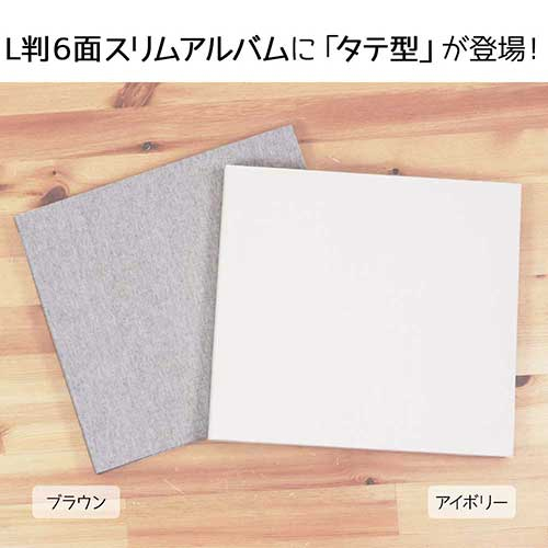 【WEB限定品】ナカバヤシ スリムポケットアルバム 縦写真収納 6面ポケットアルバム SPA-6TL-168-BR ブラウン