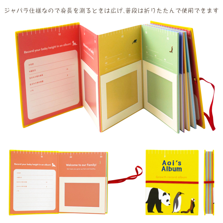 【WEB限定品】【刺しゅう名入れ代込み】ナカバヤシ 身長記録アルバム IT-H-ALBUM-N【取寄品】