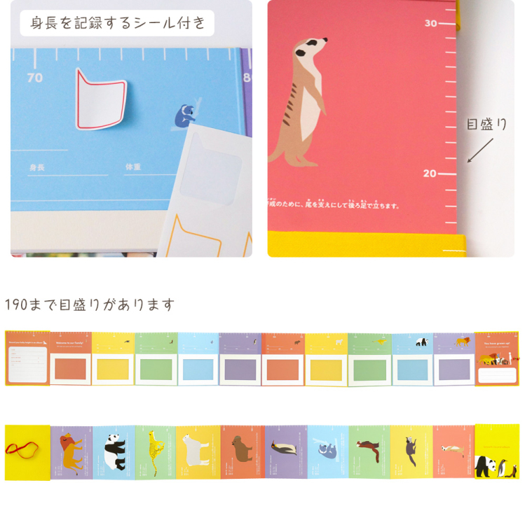 【WEB限定品】【刺しゅう名入れなし】ナカバヤシ 身長記録アルバム IT-H-ALBUM【取寄品】