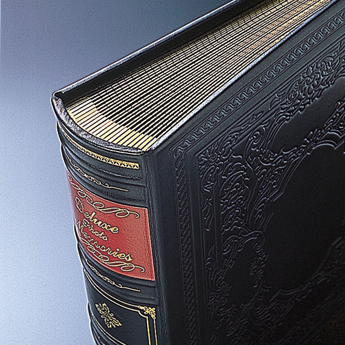 【※別注品】【受注生産品】ナカバヤシ 高級アルバム「匠の技」 タクミ-002-500BR