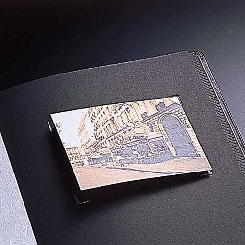 【※別注品】【受注生産品】ナカバヤシ 高級アルバム「匠の技」 タクミ-002-500BR