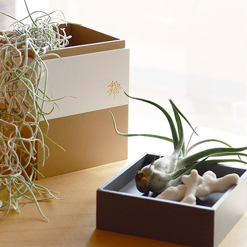 ナカバヤシ ココバコ ボックスタイプ ブルー KBK-101-BL