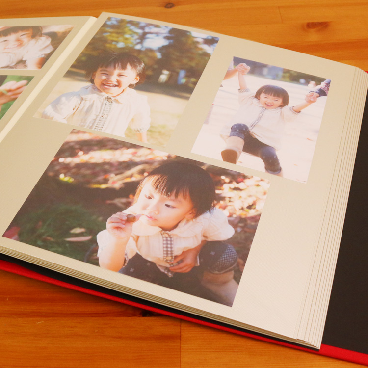 【WEB限定 アイボリー台紙/増量版】ナカバヤシ 布クロスアルバム de favine【ドゥファビネ】 フエルアルバム Lサイズ IT-LD-191-D/20L/V ブラック