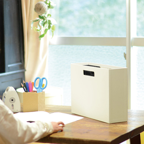 ナカバヤシ ハウスタディ 仕切りケース付きファイルボックス ベージュ HSD-FB01BE