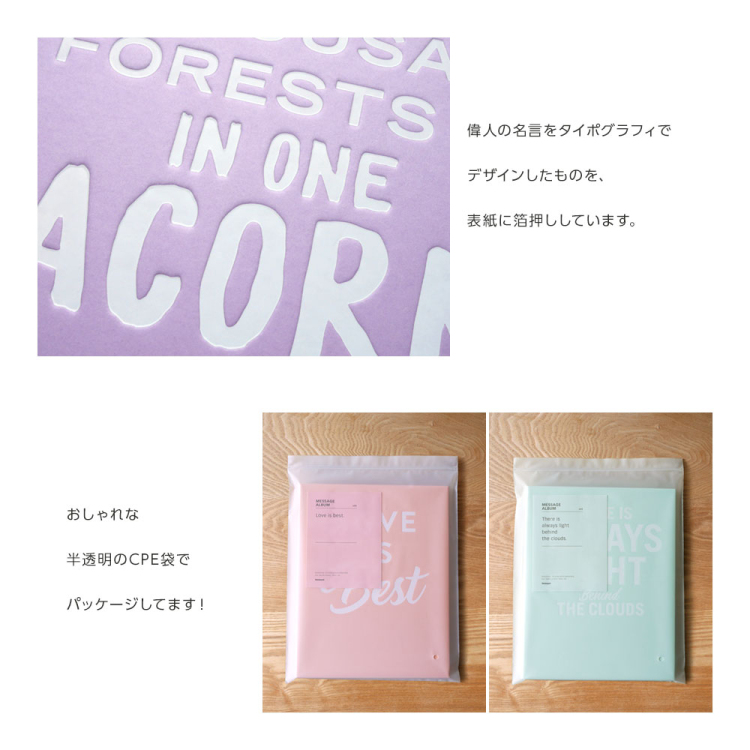 【WEB限定品】アルバム  ホームデコレーションアルバムシリーズ メッセージアルバム HDMA-L-IG/EC アイスグリーン