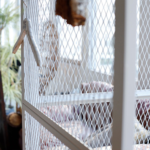 FeC&D/メッシュパーテーション/ホワイト FECAD-PA-W【別注】