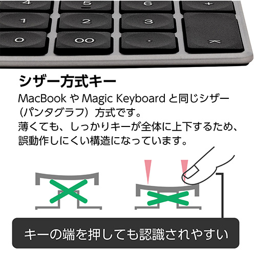 ナカバヤシ Mac用有線薄型テンキーボード/グレーボディ×ブラックキー