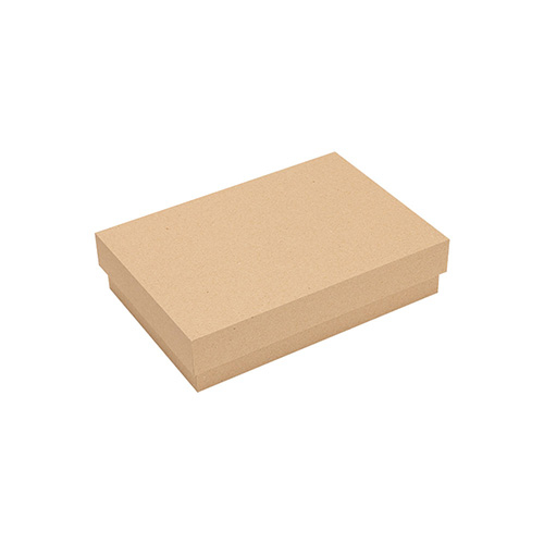 ナカバヤシ 再生紙でつくった整理箱 リトレイA5 クラフト RTY-A5KR