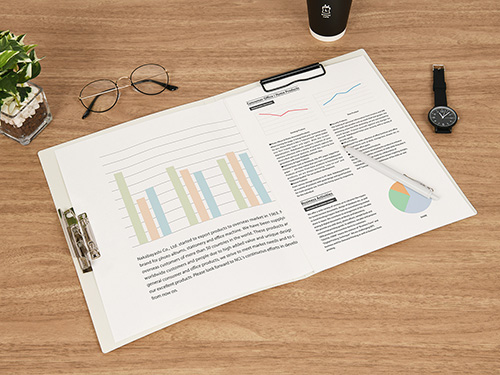 ナカバヤシ Wストッパーファイル/A4/ホワイト CH-9030W