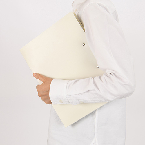 ナカバヤシ Wストッパーファイル/A4/ホワイト CH-9030W