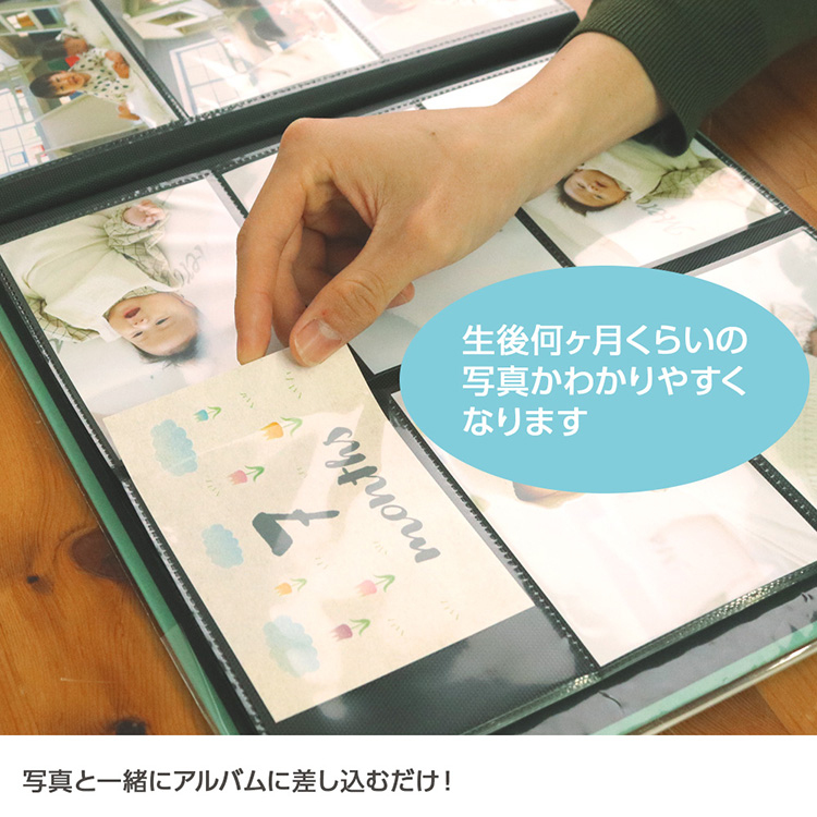 【WEB限定品】アルバム ベビー マンスリー ポケットカード マンスリーカード 月齢カード L判 14枚入り IT-DPCM-L-05【横型 L判 ポケットアルバム 手作り デコレーション デザイン コメント メッセージ かわいい Anniversary】#205#