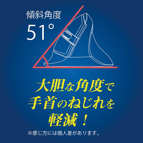 ナカバヤシ 無線 静音5ボタン BlueLEDエルゴノミクスマウス【MUS-RKF169N】ブラック MUS-RKF169NBK (tm)