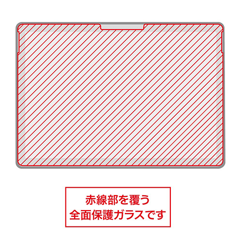ナカバヤシ Surface Pro 9用ガラス【反射防止・マット】 TBF-SFP22GG (tm)