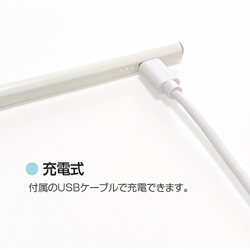 ナカバヤシ iPad専用充電式タッチペン/ホワイト TPEN-001W (tm)