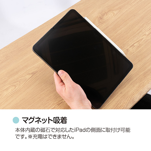 ナカバヤシ iPad専用充電式タッチペン/ホワイト TPEN-001W (tm)