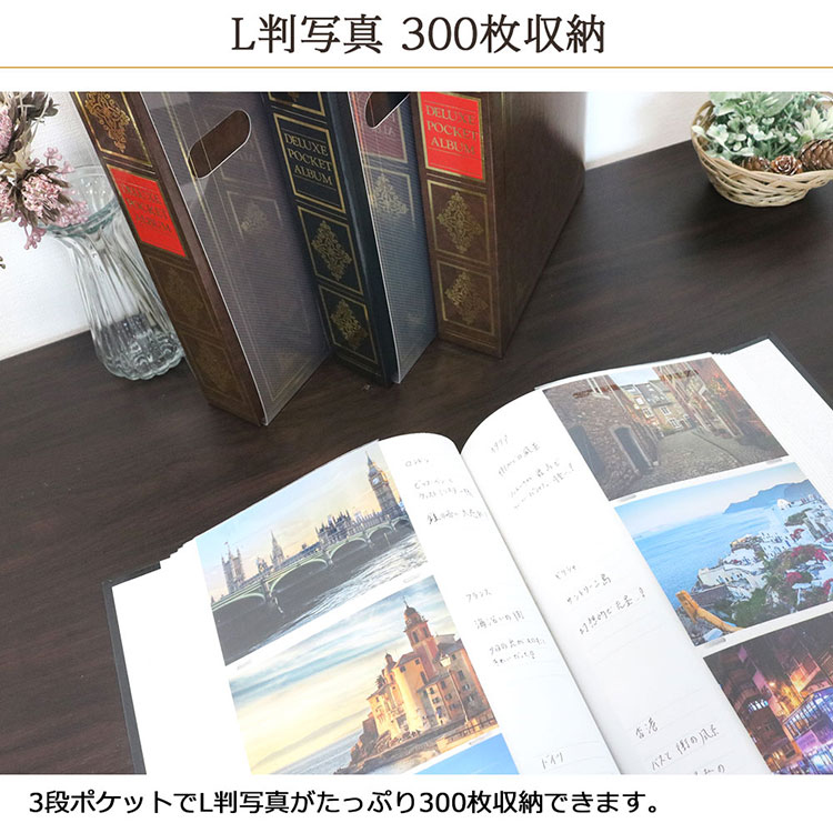 【WEB限定カラー】アルバム ナカバヤシ 1PLポケットアルバム ヴァース 1PL-152-D ブラック