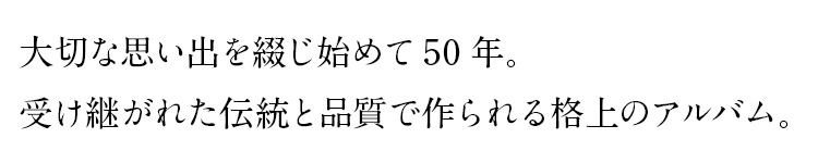 【※別注品】【☆受注生産品】【ナカバヤシ ネットオリジナル】記念品 高級アルバム OUR PRECIOUS ALBUM アH-OPA
