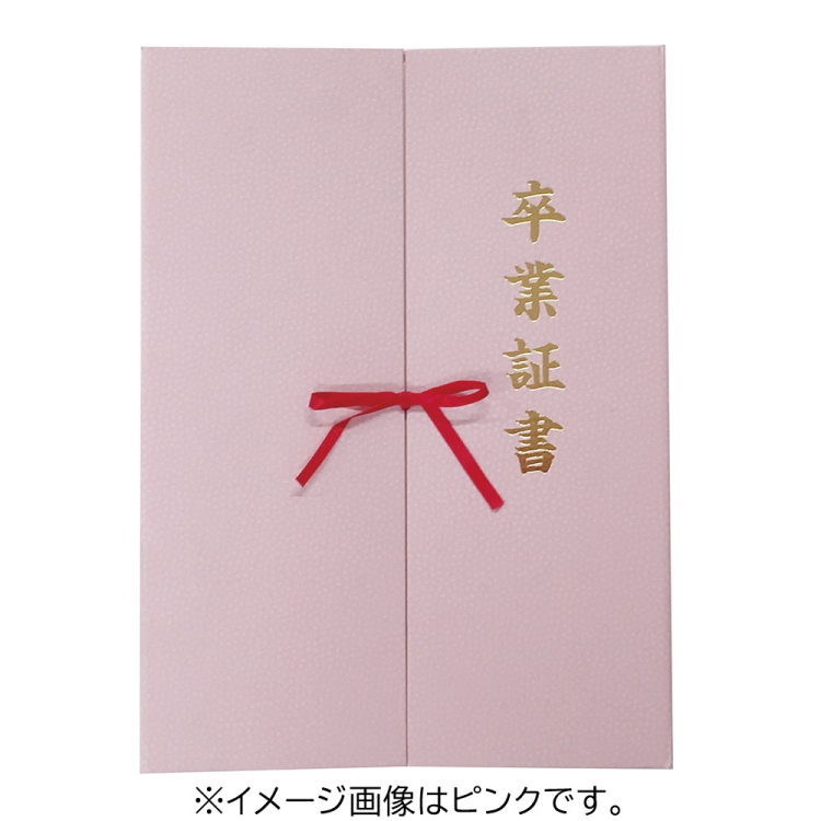 ナカバヤシ　証書ファイル観音開きリボン付きＡ４ブルー　FSK-A4B