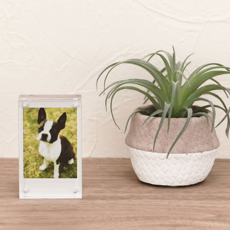 アクリルマグネットフレーム　チェキ　フ-ACM-CK