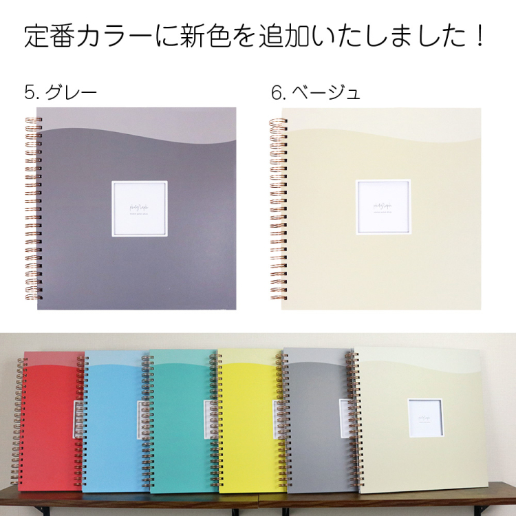 【WEB限定品】ナカバヤシ 窓抜き  L判 リング式アルバム WORA-L-252-5 ポケットアルバム グレー【ケース付】