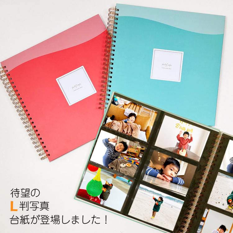 【WEB限定品】ナカバヤシ 窓抜き  L判 リング式アルバム WORA-L-252-5 ポケットアルバム グレー【ケース付】