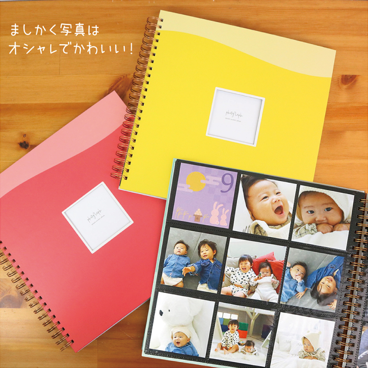【WEB限定品】ナカバヤシ 窓抜き  L判 リング式アルバム WORA-L-252-5 ポケットアルバム グレー【ケース付】