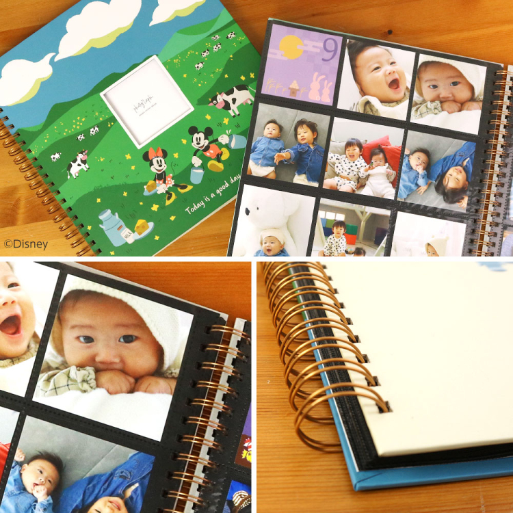 【WEB限定品】ナカバヤシ ディズニー 窓抜き L判 リング式アルバム WORA-L-252-DY1 ミッキー&ミニー 牧場【ケース付】