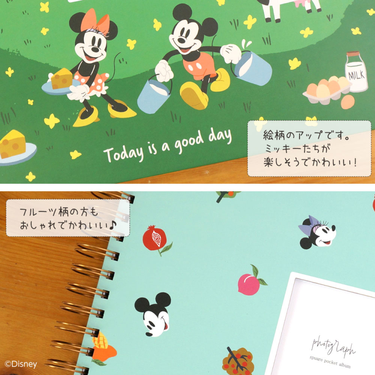 【WEB限定品】ナカバヤシ ディズニー 窓抜き L判 リング式アルバム WORA-L-252-DY1 ミッキー&ミニー 牧場【ケース付】