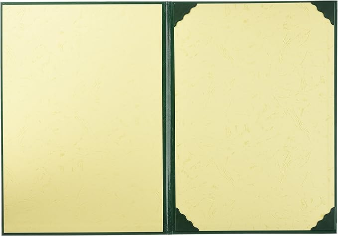 ナカバヤシ 証書ファイル VPクロス貼りタイプ B4判 FSL-B4G 緑