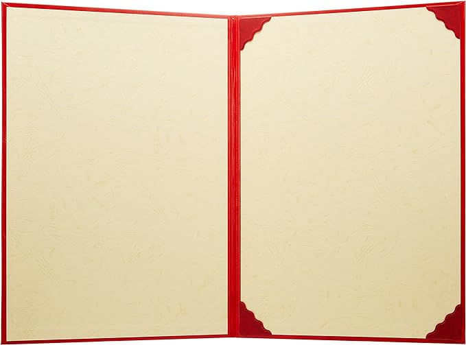 ナカバヤシ 証書ファイル VPクロス貼りタイプ B4判 FSL-B4R 赤