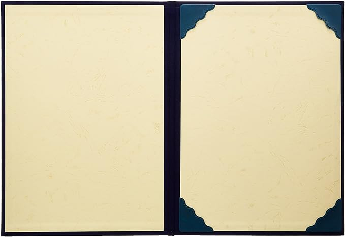 ナカバヤシ 証書ファイル 布クロス貼り(スエード調)タイプ B5判 FSS-B5-B 紺