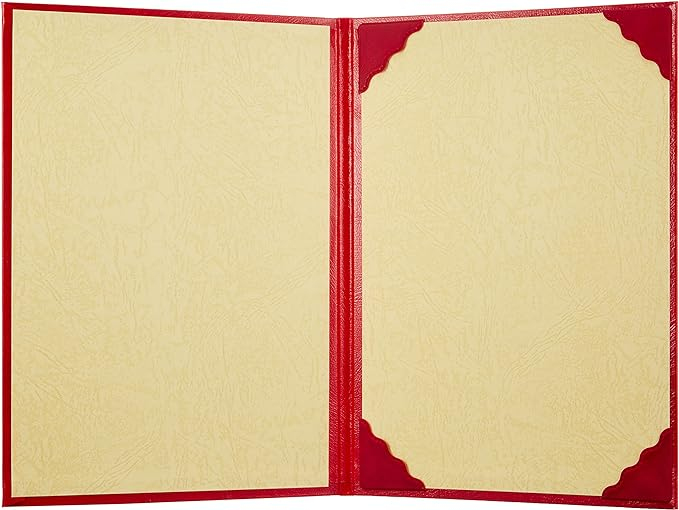 ナカバヤシ 証書ファイル VPクロス貼りタイプ B5判 FSL-B5R 赤