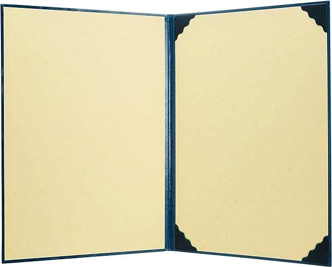 ナカバヤシ 証書ファイル VPクロス貼りタイプ B4判 FSL-B4B 紺