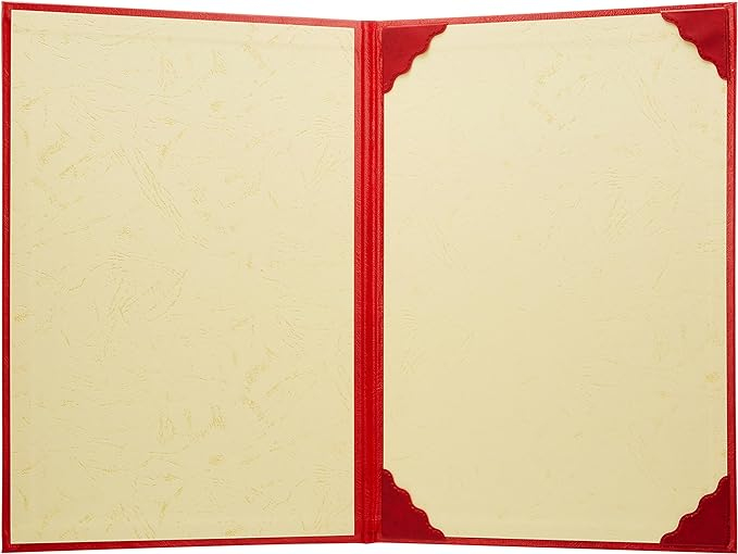 ナカバヤシ 証書ファイル VPクロス貼りタイプ A4判 FSL-A4R 赤