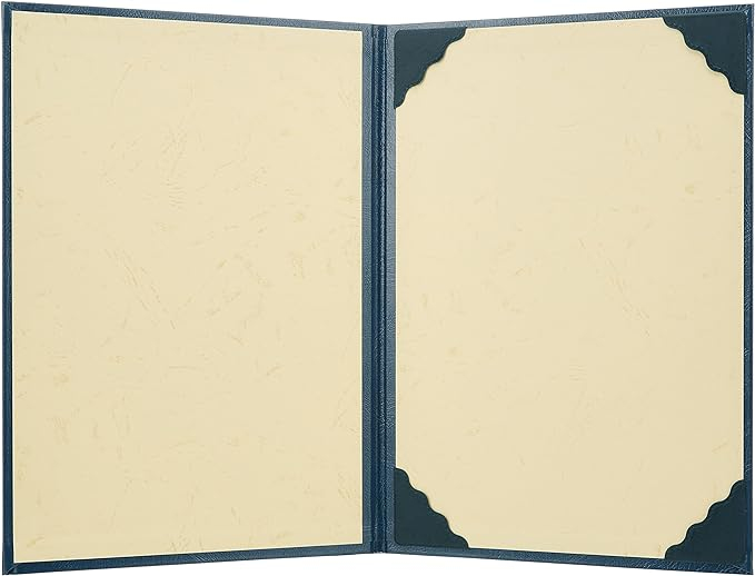 ナカバヤシ 証書ファイル VPクロス貼りタイプ B5判 FSL-B5B 紺