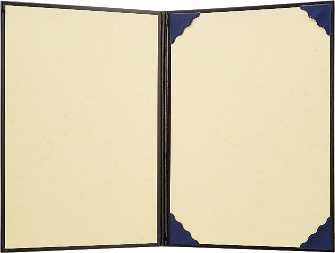 ナカバヤシ 証書ファイル VPクロス貼りタイプ A4判 FSL-A4D 黒