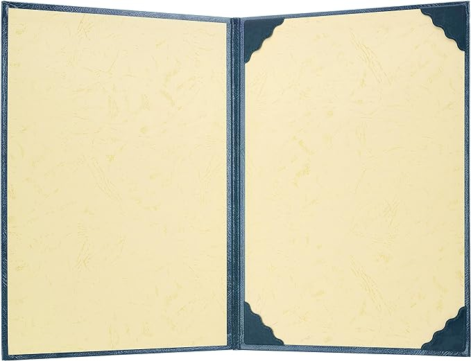 ナカバヤシ 証書ファイル VPクロス貼りタイプ A4判 FSL-A4B 紺